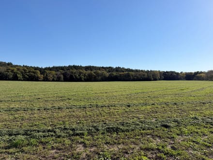 199 Acres +/- Boyd County - Nebraska Premier Hunting, Fishing & Recreational Property 