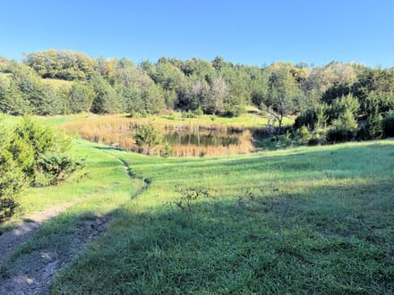 199 Acres +/- Boyd County - Nebraska Premier Hunting, Fishing & Recreational Property 