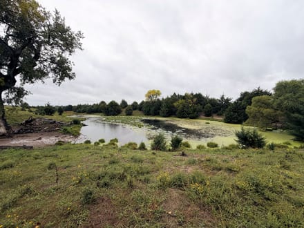 15 Acres+/- Secluded Recreational Retreat with Spring-Fed Pond 