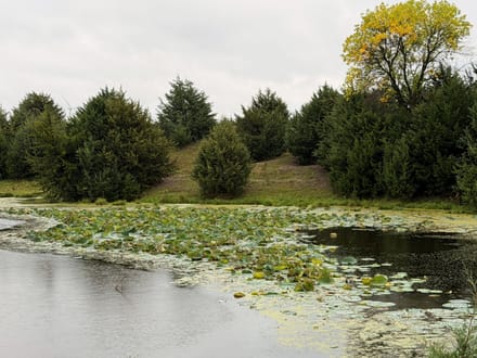 15 Acres+/- Secluded Recreational Retreat with Spring-Fed Pond 