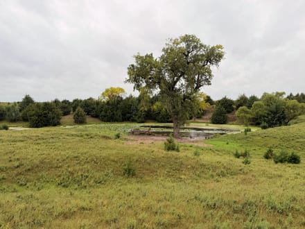 15 Acres+/- Secluded Recreational Retreat with Spring-Fed Pond 