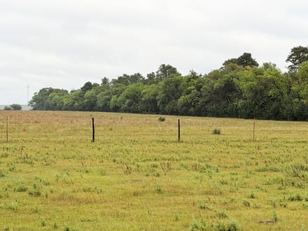 15 Acres+/- Secluded Recreational Retreat with Spring-Fed Pond 