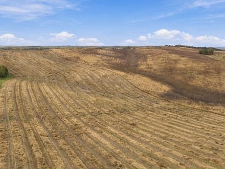 Tract #1: 80 Acres+/-  Exceptional Farm, Pasture & Recreational Property - Boyd Co., Nebraska
