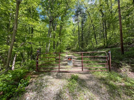 Bushby Rd - 10 Acres