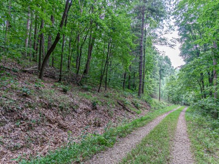 Bushby Rd - 10 Acres
