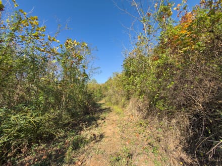 Absolute Auction! - Gallia County