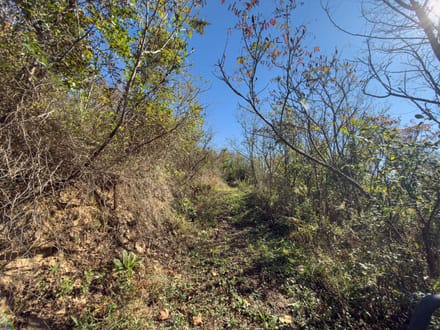 Absolute Auction! - Gallia County