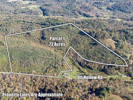 Absolute Auction! - Gallia County