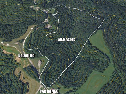 Dalzell Rd - 68 Acres