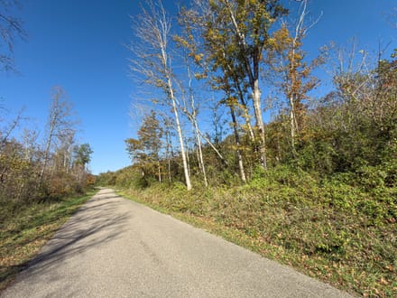 Absolute Auction! - Gallia County