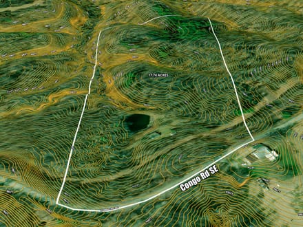 Auction! Congo Rd. 17.7 Acres
