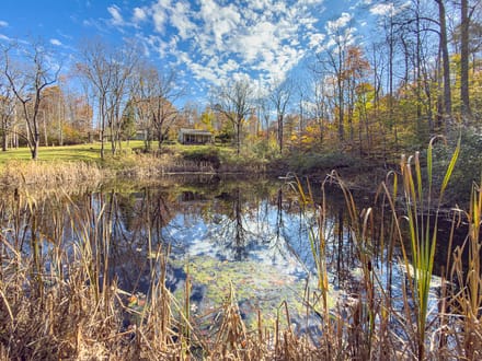 Auction! Congo Rd - 17.7 Acres
