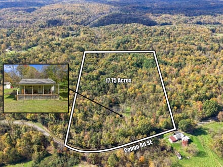 Auction! Congo Rd. 17.7 Acres