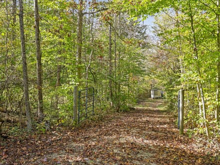 Auction! Congo Rd. 17.7 Acres