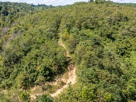 Absolute Auction! - Gallia County