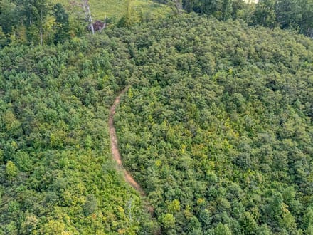 Absolute Auction! - Gallia County
