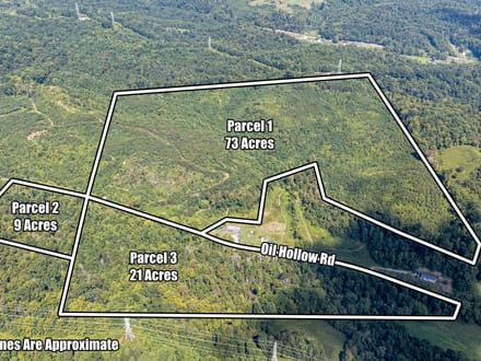 Absolute Auction! - Gallia County