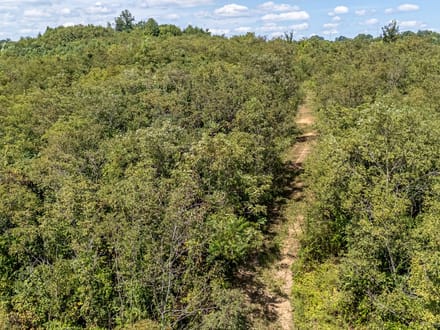 Absolute Auction! - Gallia County