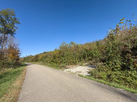 Absolute Auction! - Gallia County