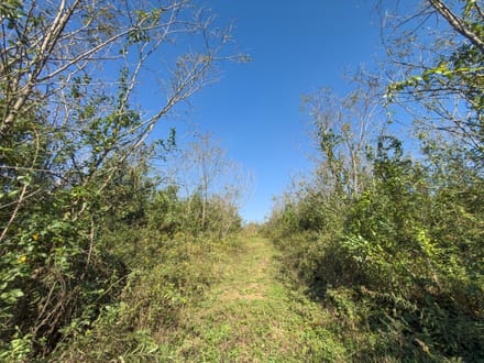 Absolute Auction! - Gallia County
