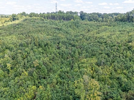 Absolute Auction! - Gallia County