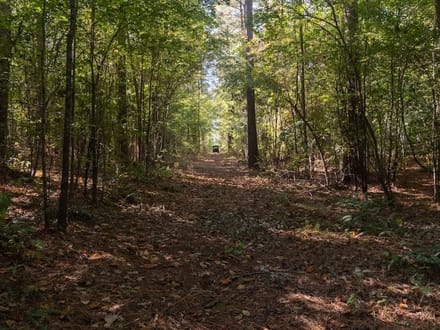 588.38± acres of Farmland, Timberland, & Recreational Land For Sale in Halifax County NC!