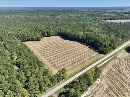 588.38± acres of Farmland, Timberland, & Recreational Land For Sale in Halifax County NC!