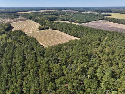 588.38± acres of Farmland, Timberland, & Recreational Land For Sale in Halifax County NC!