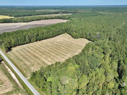 588.38± acres of Farmland, Timberland, & Recreational Land For Sale in Halifax County NC!