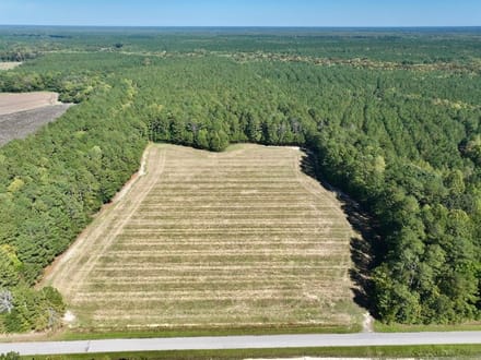 588.38± acres of Farmland, Timberland, & Recreational Land For Sale in Halifax County NC!
