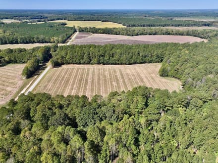 588.38± acres of Farmland, Timberland, & Recreational Land For Sale in Halifax County NC!