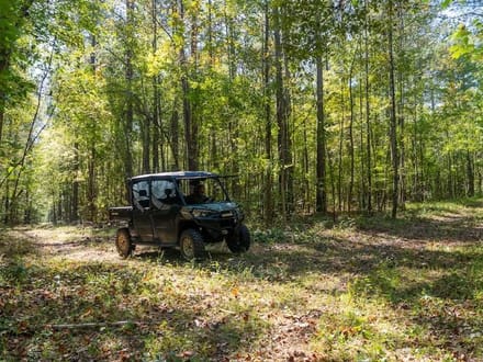 588.38± acres of Farmland, Timberland, & Recreational Land For Sale in Halifax County NC!