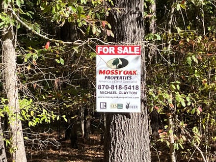 Bragg Lake 
