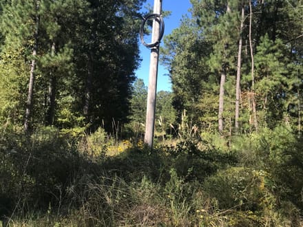 153 Acre Hunting Tract in Wayne County, Mississippi