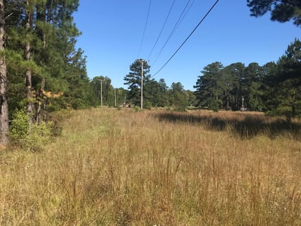 153 Acre Hunting Tract in Wayne County, Mississippi