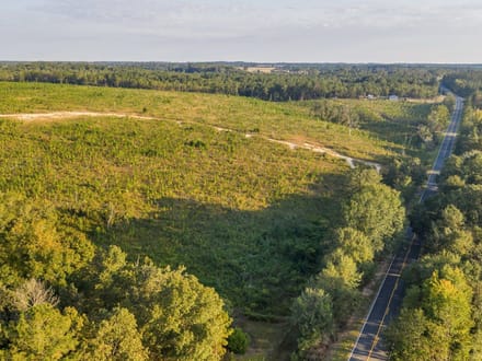 The Longleaf 42