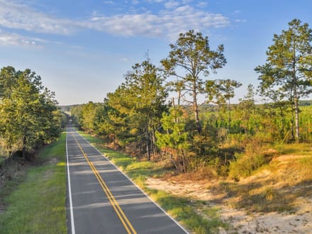 The Longleaf 42