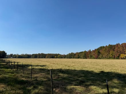 Moore The Farm tract