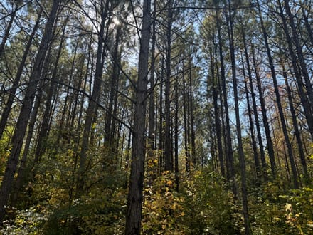 Moore The Farm tract