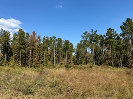 Moore The Farm tract