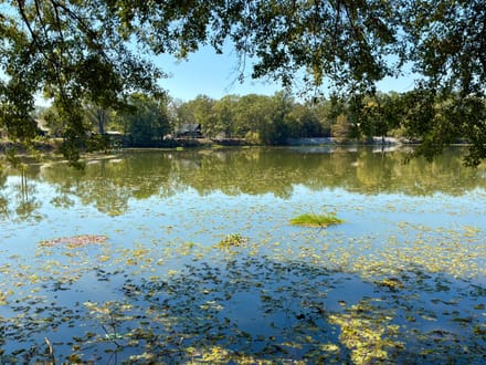 Parker’s Point Waterfront Cabin