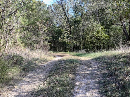 10 acres of timber seclusion on the St. Francis River in Butler County, MO