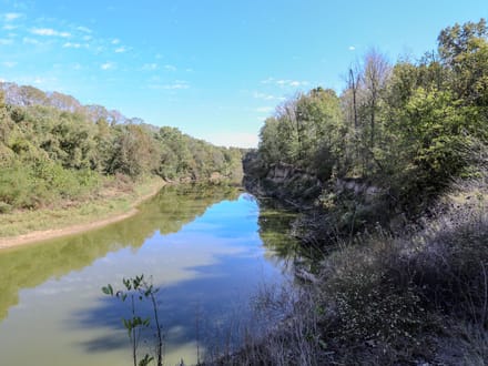 10 acres of timber seclusion on the St. Francis River in Butler County, MO