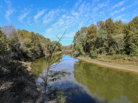 10 acres of timber seclusion on the St. Francis River in Butler County, MO
