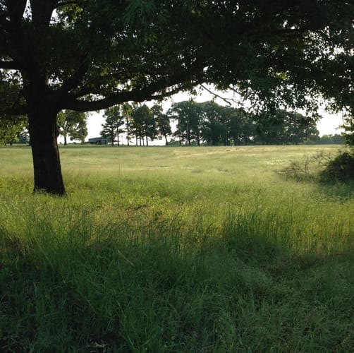 Tester - Pilot Knob Ranch