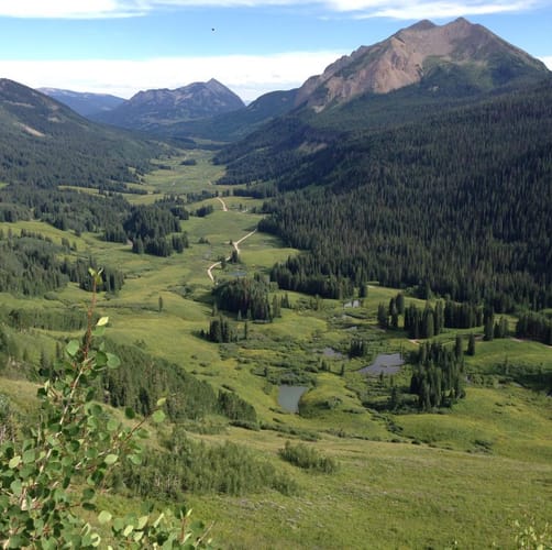 Tester - Pilot Knob Ranch