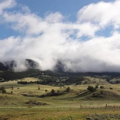 Old Mose Ranch