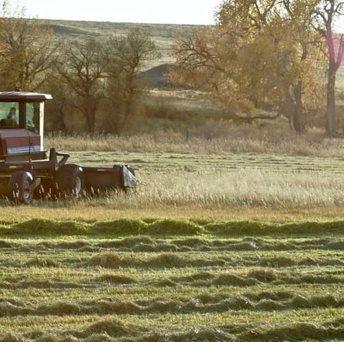 Horse Creek Ranch