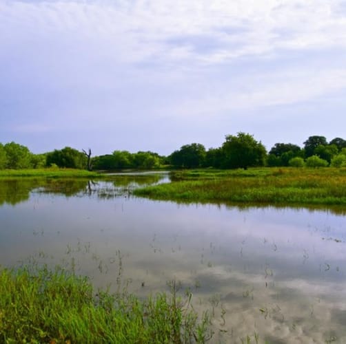 Harpersville Ranch