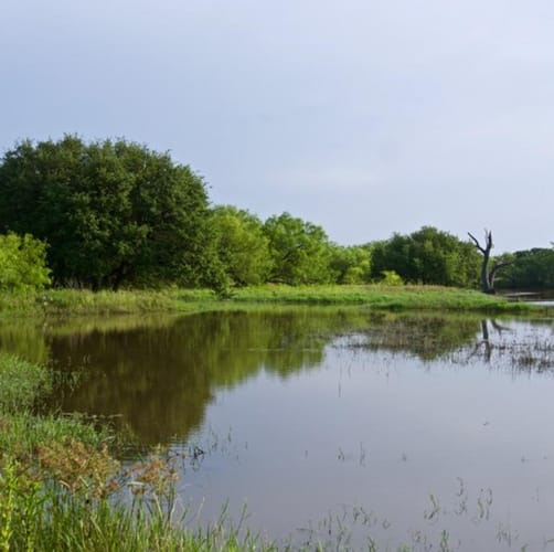 Harpersville Ranch